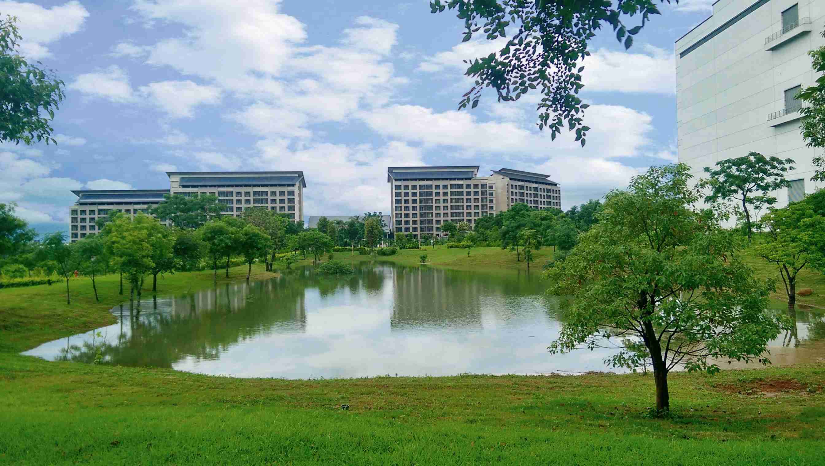 彩运网响应国际倡议生物多样性趋势，，首次发布TNFD自然相关财务揭露报告书，，擘划及开展彩运网生物多样性政策之承诺，，，逐步迈向与自然和谐共生